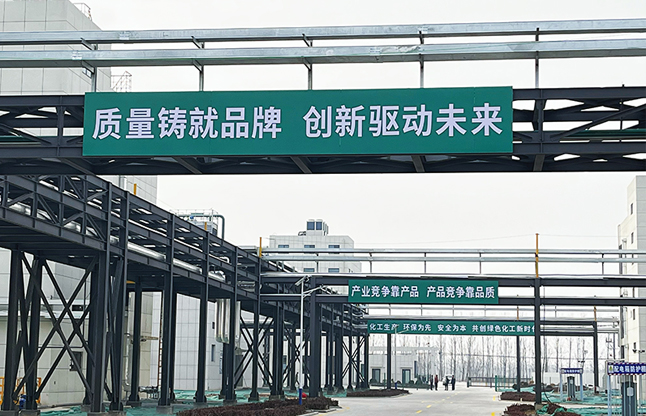 企业展示